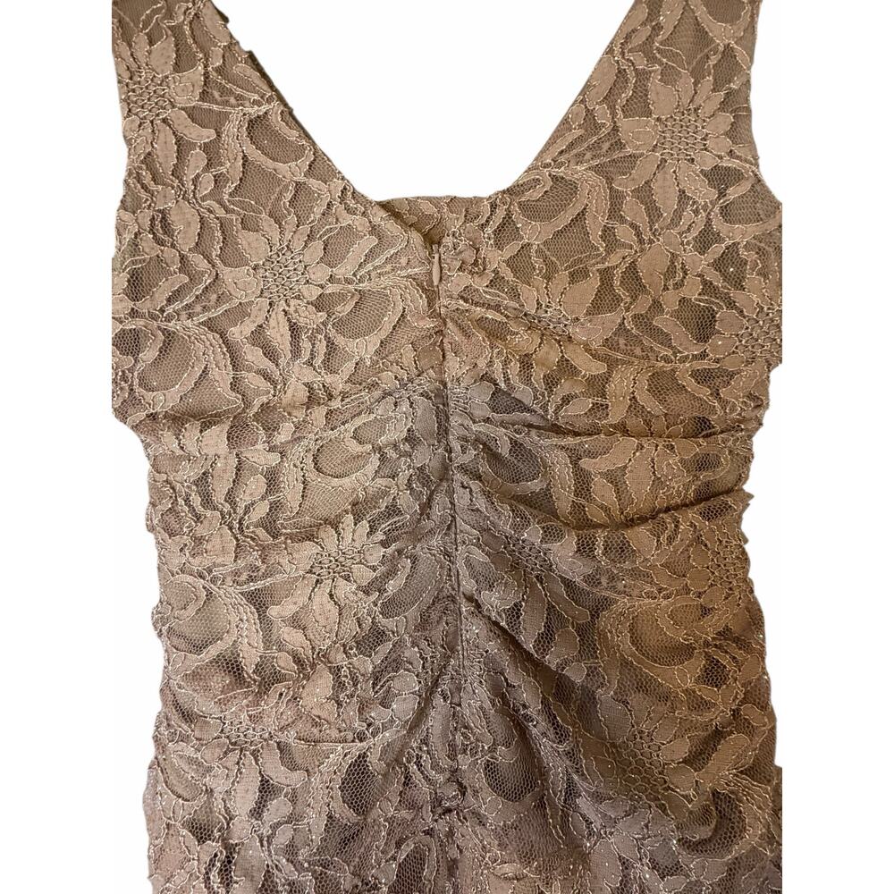NW Taupe Nightway Lace Gown - Size 10 - Picture 13 of 16